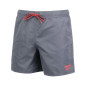 Maillot de bain homme Reebok YALE 71002 Gris Maillot de bain homme Reebok YALE 71002 Gris