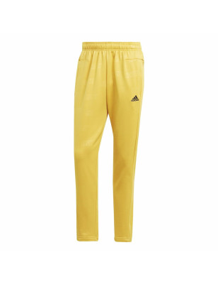 Football Training Trousers for Adults Adidas Men M