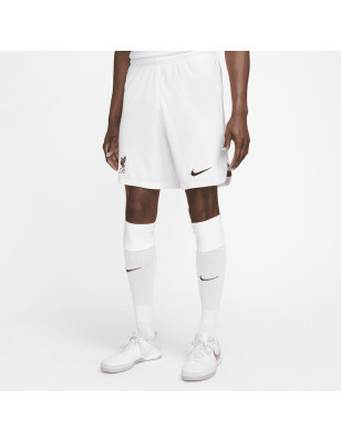 Short de Sport pour Homme Nike DN2725-100-M