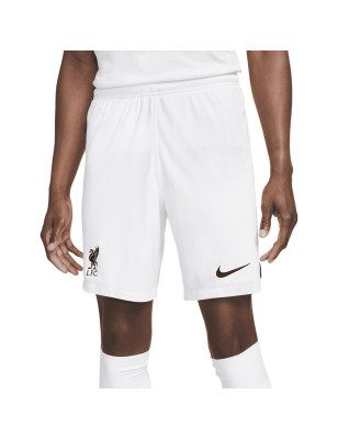 Short de Sport pour Homme Nike DN2725-100-S