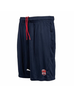 Adult Trousers Puma 674709 01 Navy Blue Men